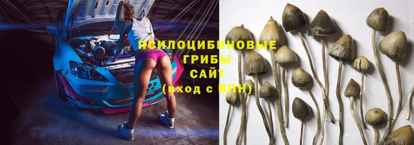 молекула духа Навашино