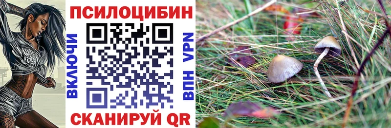 Купить закладки  Салаир  Галлюциногенные грибы ЛСД 